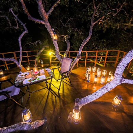 Tribe Yala - Luxury Camping 외부 사진