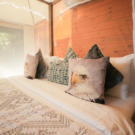 Tribe Yala - Luxury Camping 외부 사진