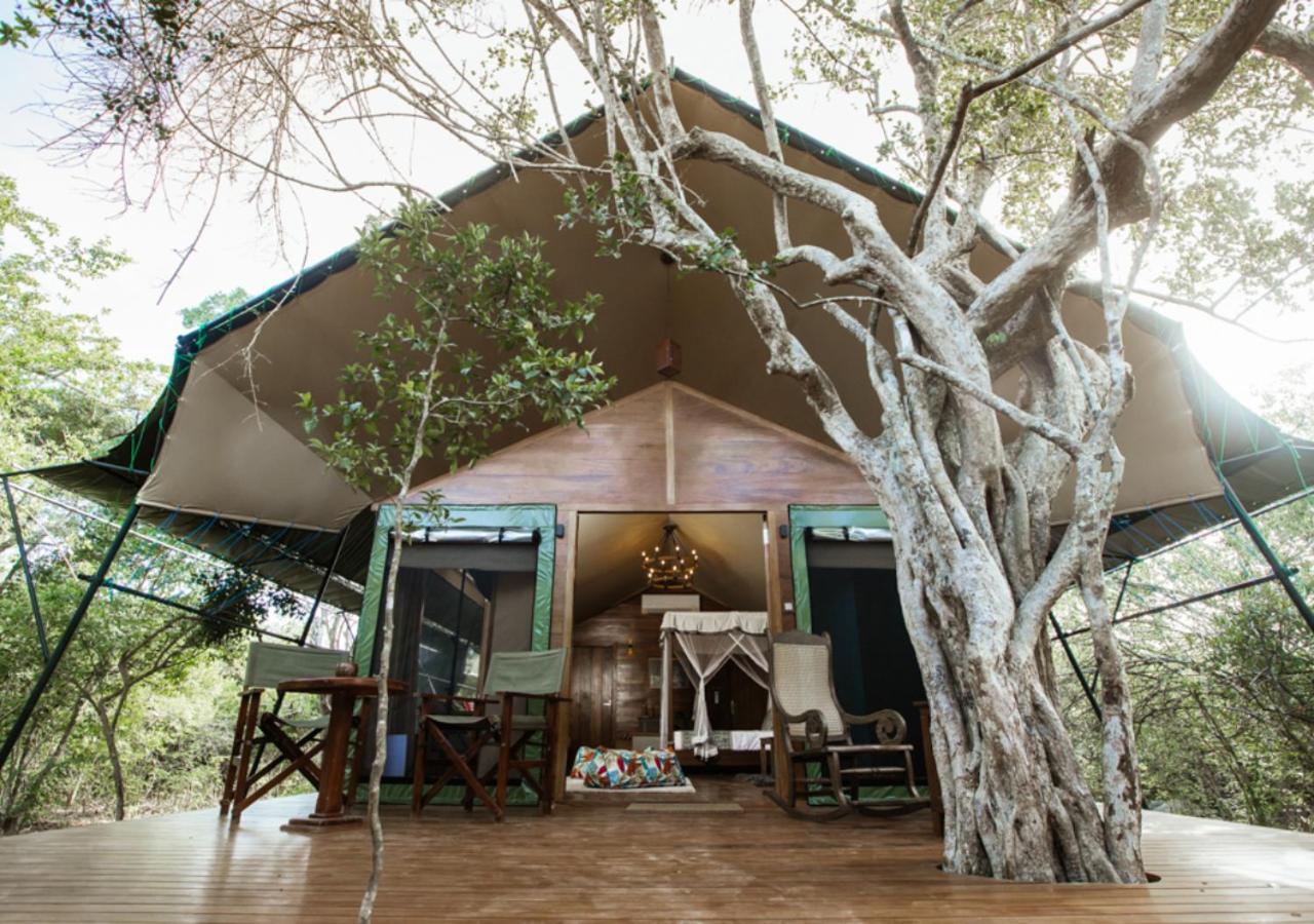 Tribe Yala - Luxury Camping 외부 사진