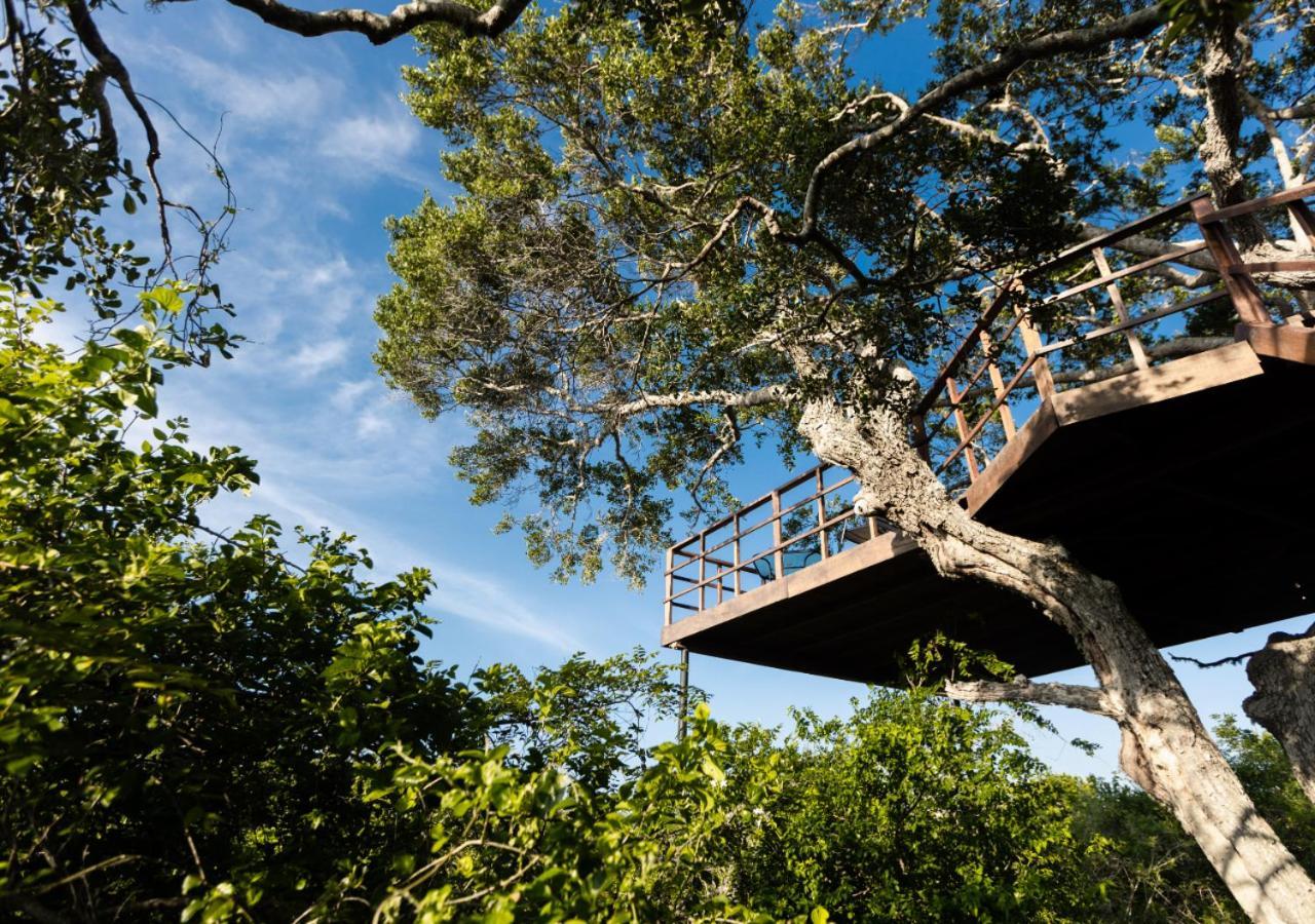 Tribe Yala - Luxury Camping 외부 사진