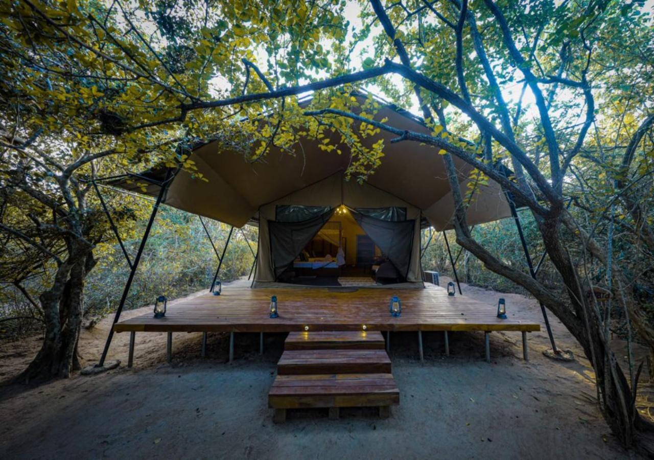Tribe Yala - Luxury Camping 외부 사진